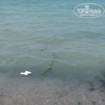 фото из отзыва ID 390966