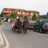 фото из отзыва ID 390966