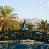 фото из отзыва ID 391082