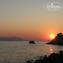 фото из отзыва ID 391210