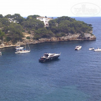 фото из отзыва ID 391214