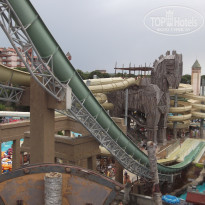 фото из отзыва ID 391319