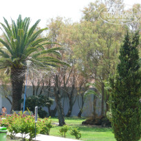 фото из отзыва ID 391647