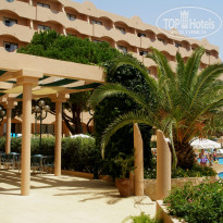 фото из отзыва ID 391689