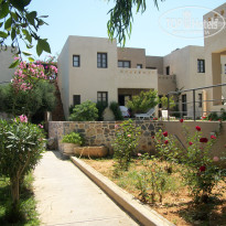 фото из отзыва ID 391743