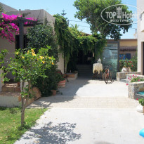 фото из отзыва ID 391743