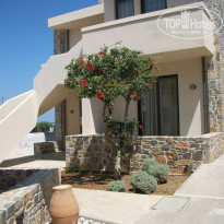 фото из отзыва ID 391743