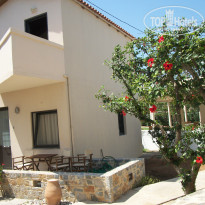 фото из отзыва ID 391743