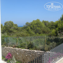 фото из отзыва ID 391934