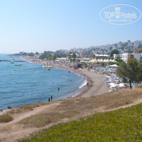 фото из отзыва ID 392157