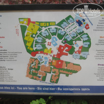 фото из отзыва ID 392308