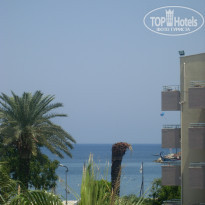 фото из отзыва ID 392391