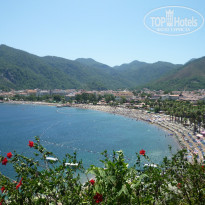 фото из отзыва ID 392693