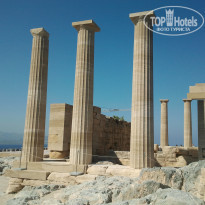 фото из отзыва ID 392873