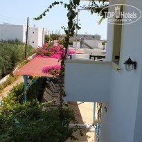 фото из отзыва ID 392997