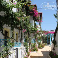 фото из отзыва ID 392997