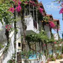 фото из отзыва ID 392997