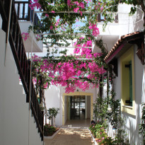 фото из отзыва ID 392997