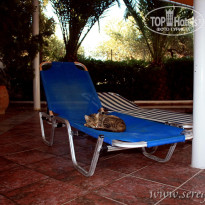 фото из отзыва ID 392273