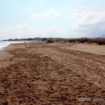 фото из отзыва ID 392273