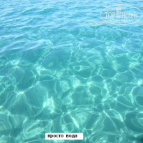 фото из отзыва ID 392754