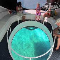 фото из отзыва ID 392754