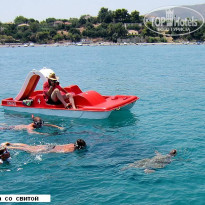 фото из отзыва ID 392754