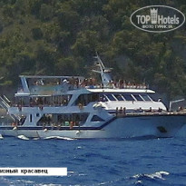 фото из отзыва ID 392754