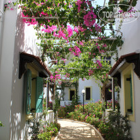 фото из отзыва ID 393012