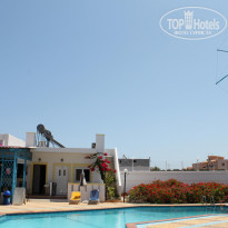 фото из отзыва ID 393012