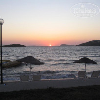 фото из отзыва ID 393210