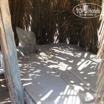 фото из отзыва ID 393249