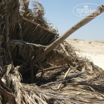 фото из отзыва ID 393249