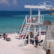 фото из отзыва ID 393279