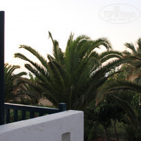 фото из отзыва ID 393324