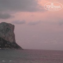 фото из отзыва ID 393385