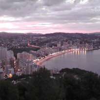 фото из отзыва ID 393385