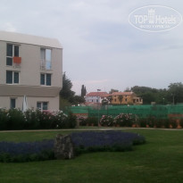 фото из отзыва ID 393691