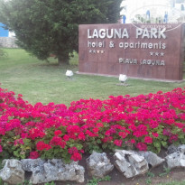 фото из отзыва ID 393691