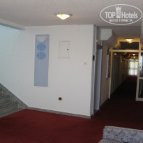 фото из отзыва ID 393783