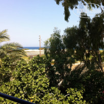 фото из отзыва ID 393903