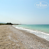 фото из отзыва ID 393903