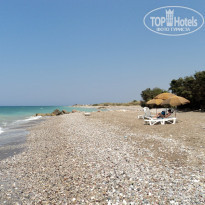 фото из отзыва ID 393903