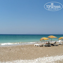 фото из отзыва ID 393903