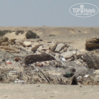 фото из отзыва ID 393249