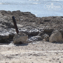 фото из отзыва ID 393249