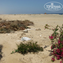 фото из отзыва ID 393249