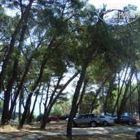 фото из отзыва ID 394128