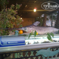 фото из отзыва ID 394232