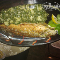 фото из отзыва ID 394232